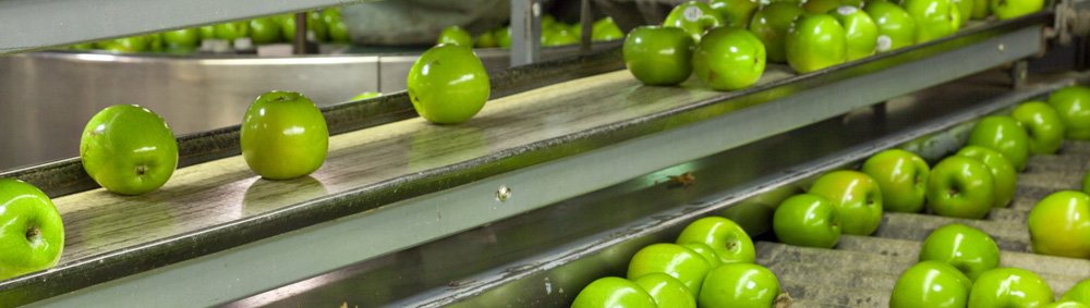 Greenbean_Scientific_016.jpg Greenbean_Scientific_016.jpg
