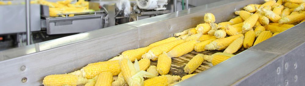 Greenbean_Scientific_022.jpg Greenbean_Scientific_022.jpg