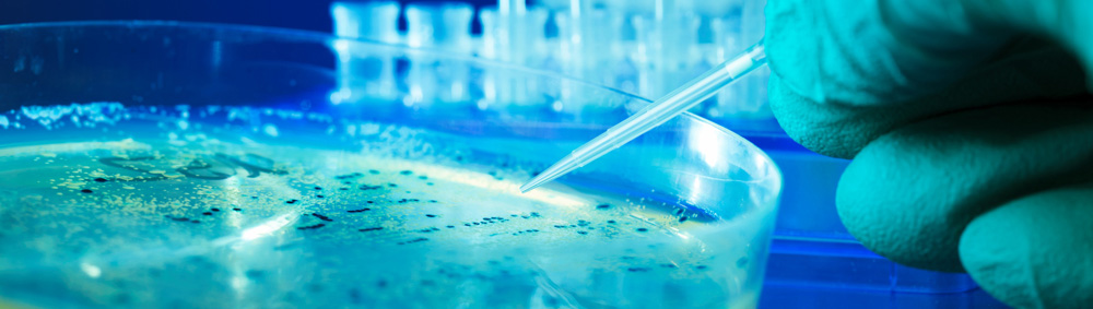 Greenbean_Scientific_09.jpg Greenbean_Scientific_09.jpg
